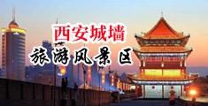 人妻美女內射光光中国陕西-西安城墙旅游风景区